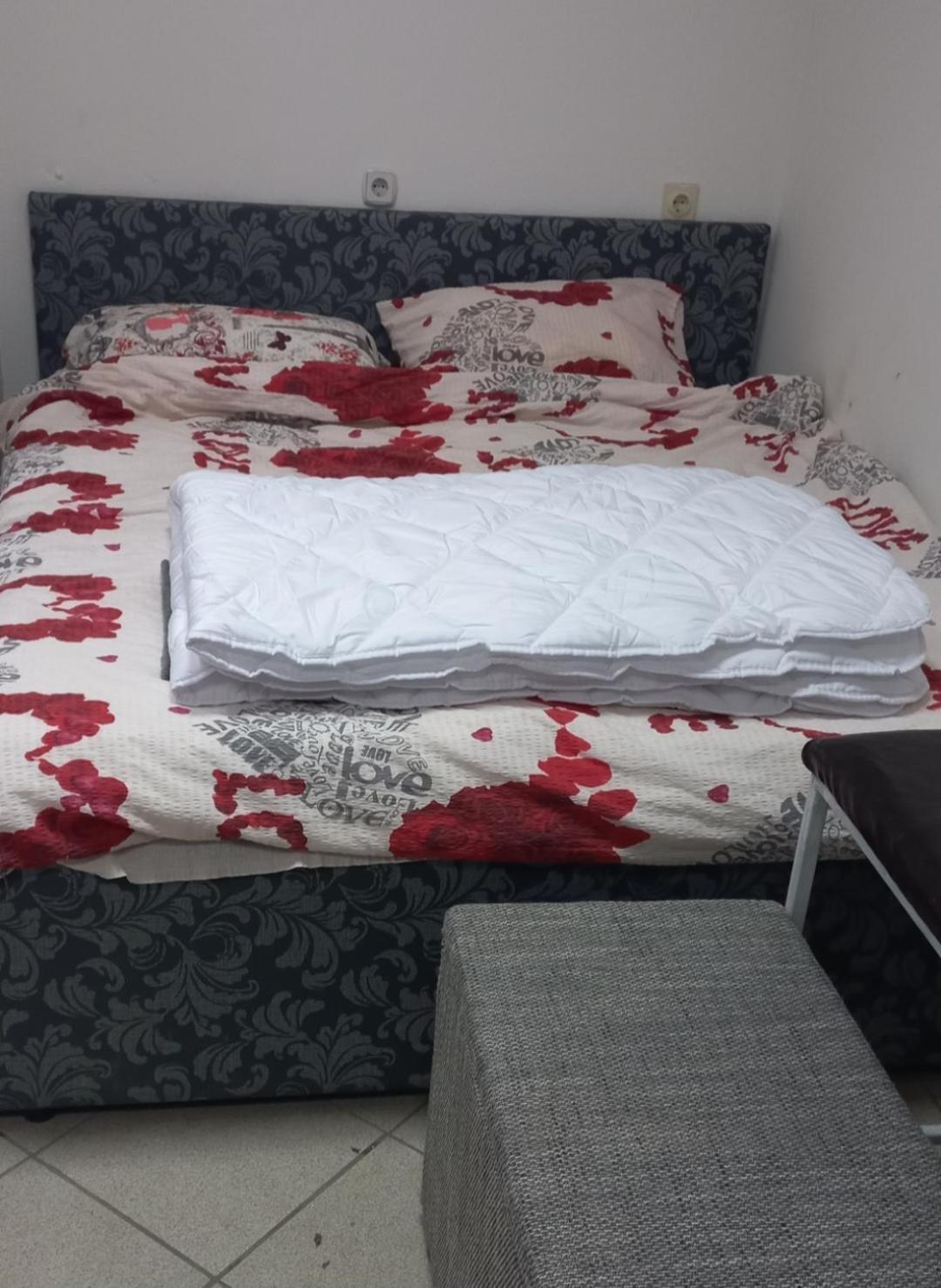 노비사드 Big Bed, Rumenacka 7 아파트 외부 사진